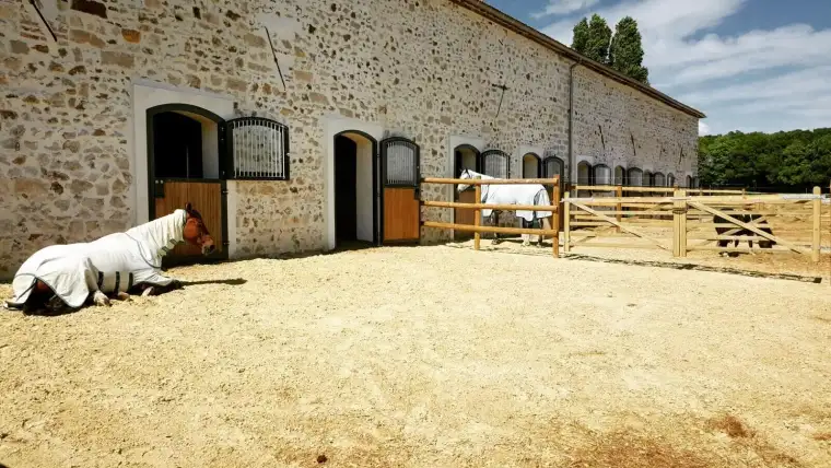 haras du pachavert