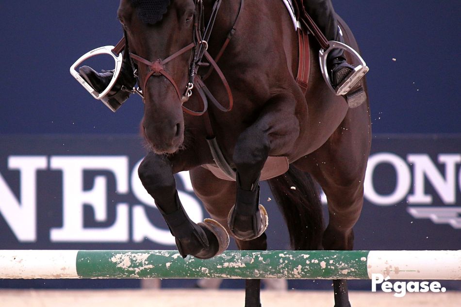 CSO - “Coup de bambou” chez Ludger Beerbaum : éclairage | Pégase Daily