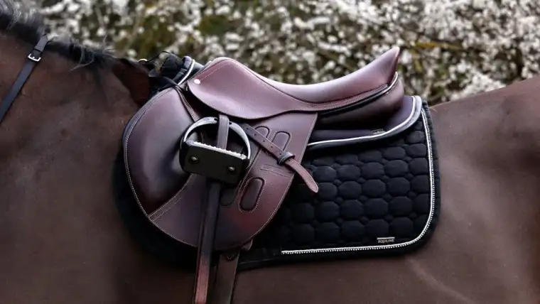 choisir une selle saddle fitter