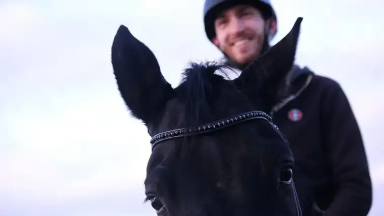 pegasebuzz dressage tacante david dechler 01