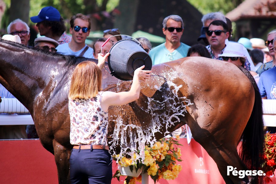 fédération nationale courses hippiques charte eau hippodrome