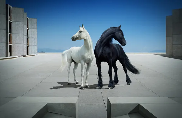 [Equestrian Photography] Andrey Vasilyev - Horses | Pégase Daily