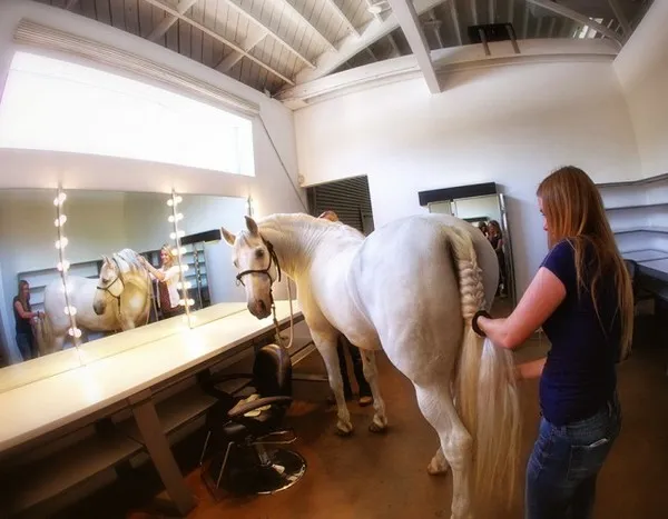 [Photography] Lennette Newell - Horse Edition | Pégase Daily