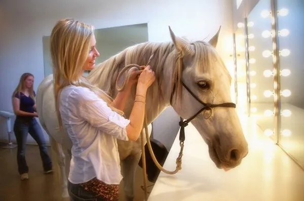 [Photography] Lennette Newell - Horse Edition | Pégase Daily