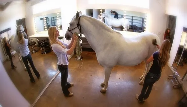 [Photography] Lennette Newell - Horse Edition | Pégase Daily