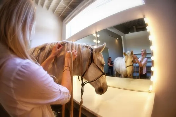 [Photography] Lennette Newell - Horse Edition | Pégase Daily