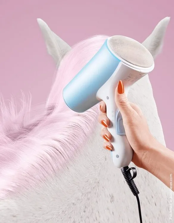 [Photography] Thomas Mangold - Horse Beauty | Pégase Daily