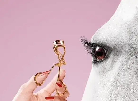 [Photography] Thomas Mangold - Horse Beauty | Pégase Daily