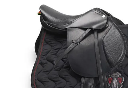 [Lifestyle] Gucci capsule équestre pour les cavaliers | Pégase Daily