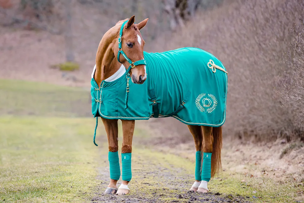 [Equestrian Fashion] PS of Sweden : all blues