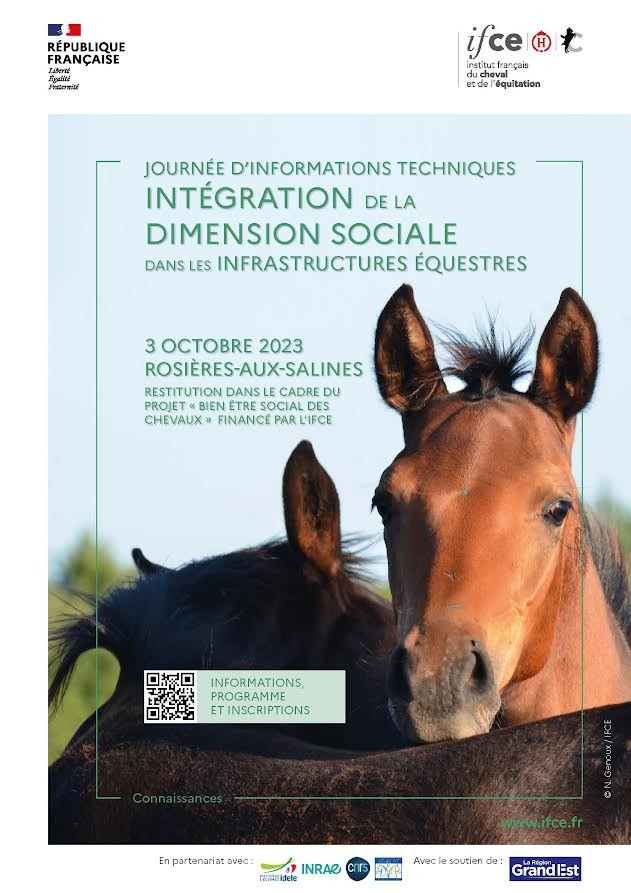 Journée d'informations techniques : Favoriser la sociabilisation des chevaux dans les infrastructures équestres | Pégase Daily