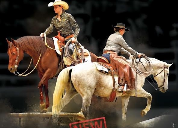 greatest ranch horse equita lyon western horse show
