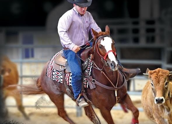Ranch Sorting Equita Lyon Western Horse Show 2023 | Pégase Daily
