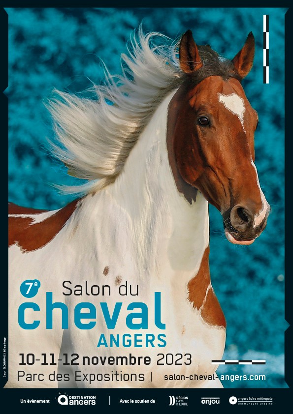 Salon du Cheval d'Angers 2023 | Pégase Daily