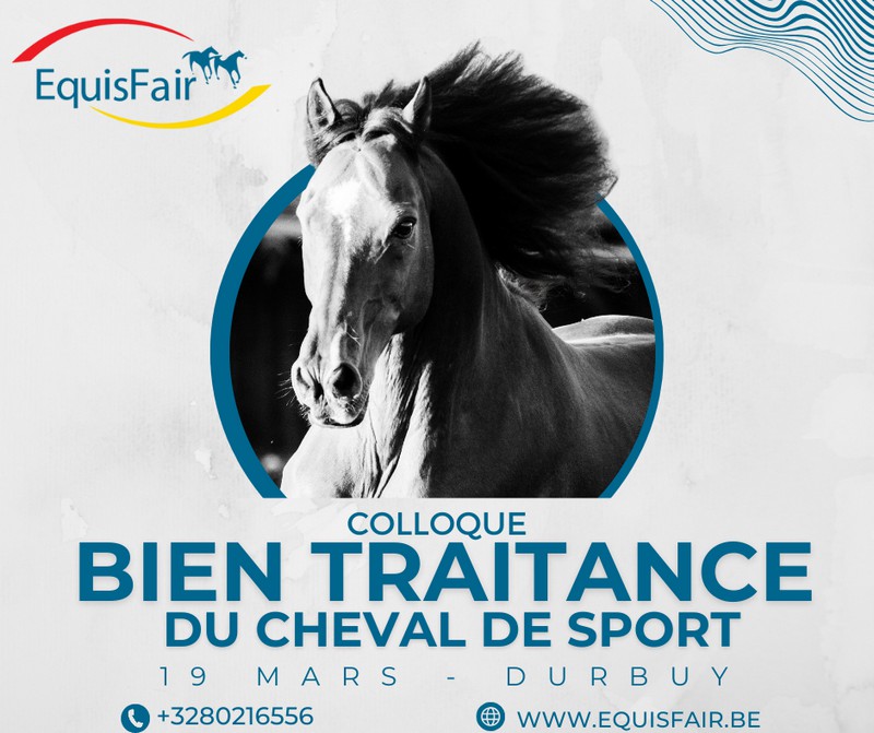 Colloque Bien Traitante du Cheval de Sport - Equisfair Belgique | Pégase Daily