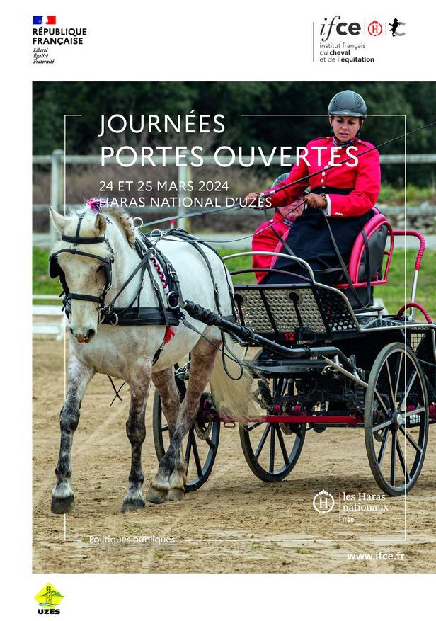 Haras National d'Uzès - IFCE | Pégase Daily