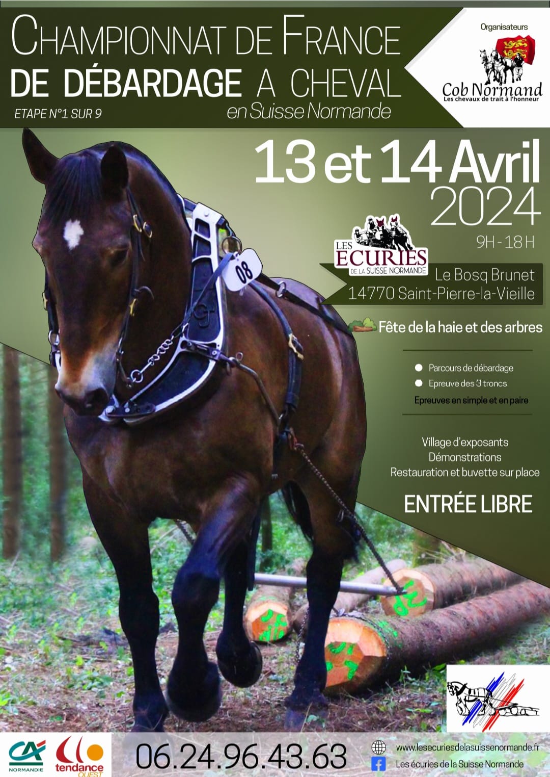 Championnat de France de débardage à cheval 2024 | Pégase Daily