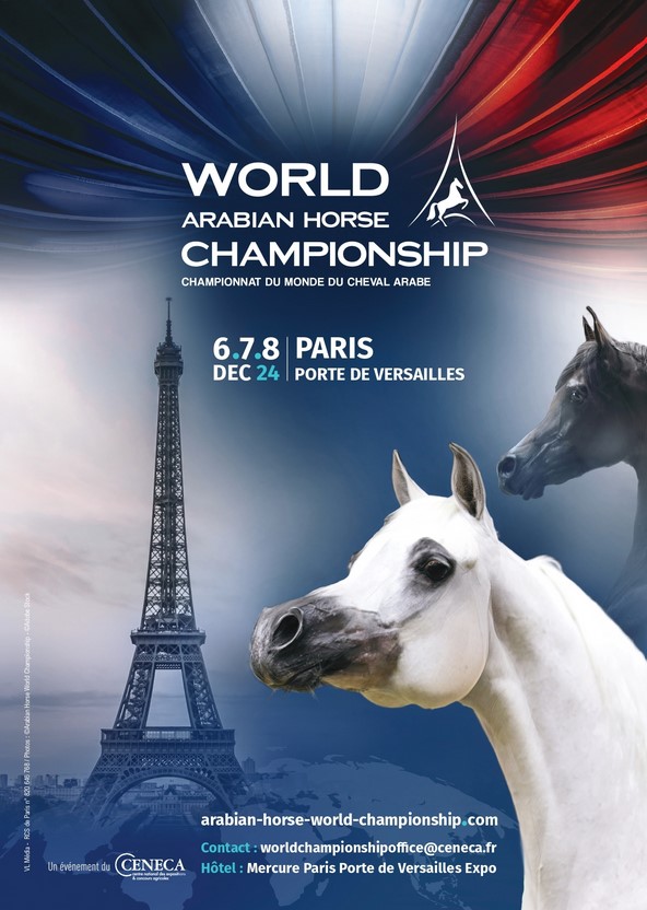 World Arabian Horse Championship - Championnat du Monde du Cheval Arabe 2024 | Pégase Daily