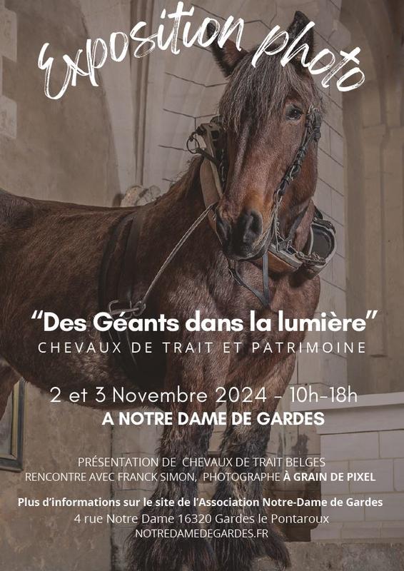 Exposition Chevaux de Trait - Des géants dans la lumière | Pégase Daily