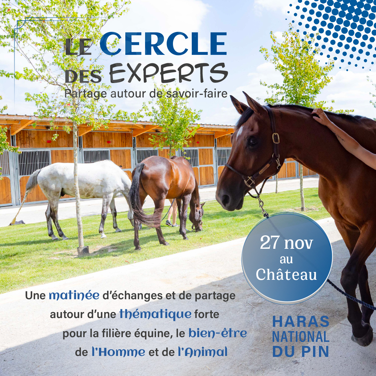 Le cercle des experts, Haras National du Pin | Pégase Daily