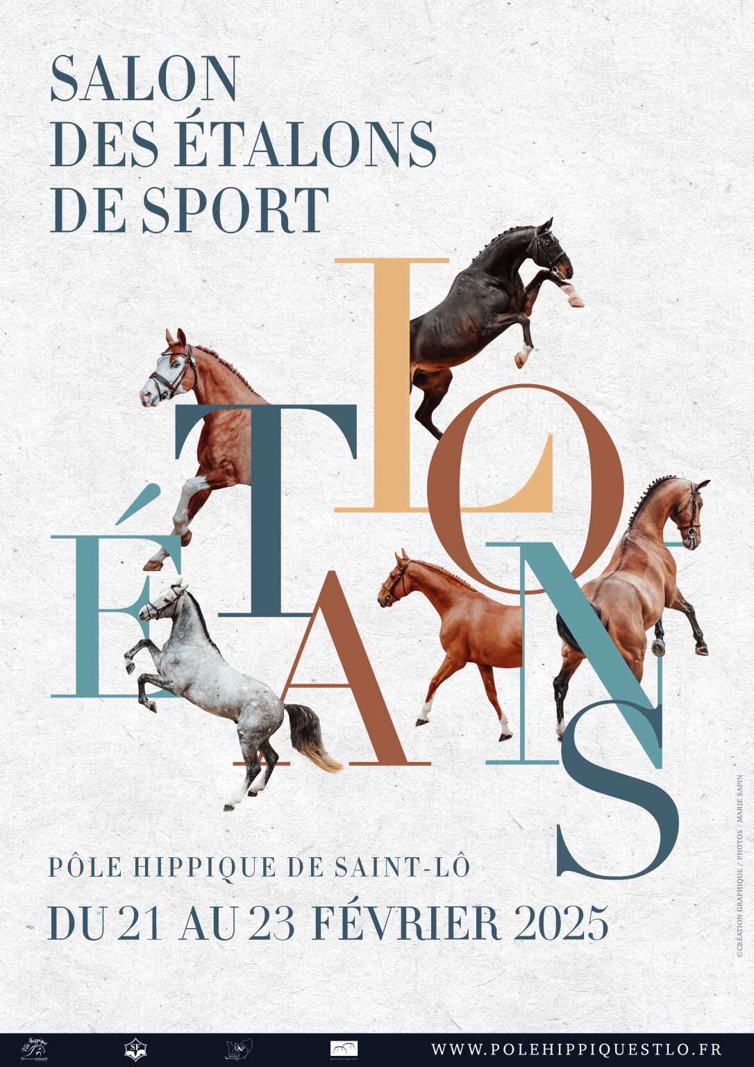 salon des etalons pole hippique saint lo