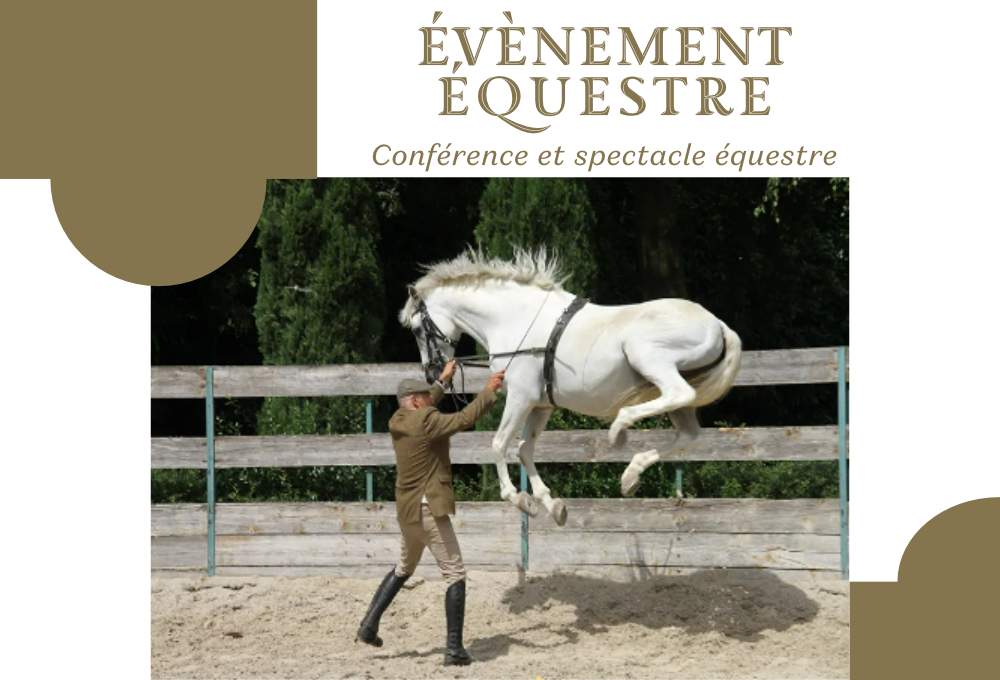 Conférence – Le Lusitanien, le cheval des écuyers poètes et Spectable équestre, événement cheval Yvelines | Pégase Daily