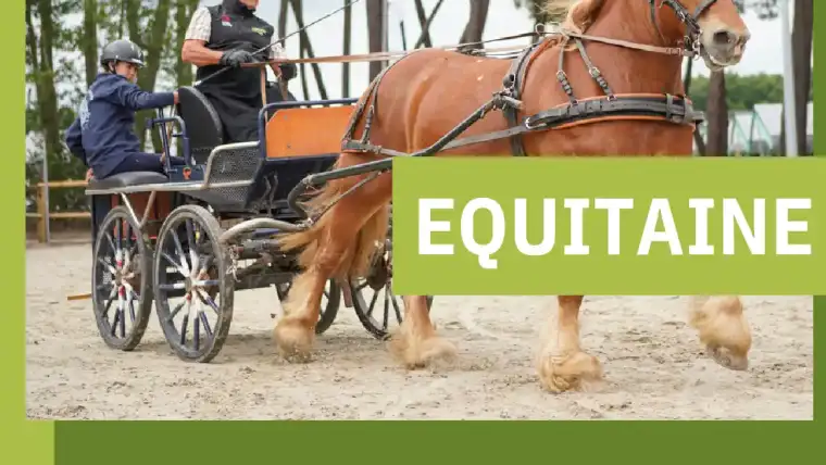 Equitaine, le cheval au Salon de l'Agriculture Nouvelle-Aquitaine | Pégase Daily