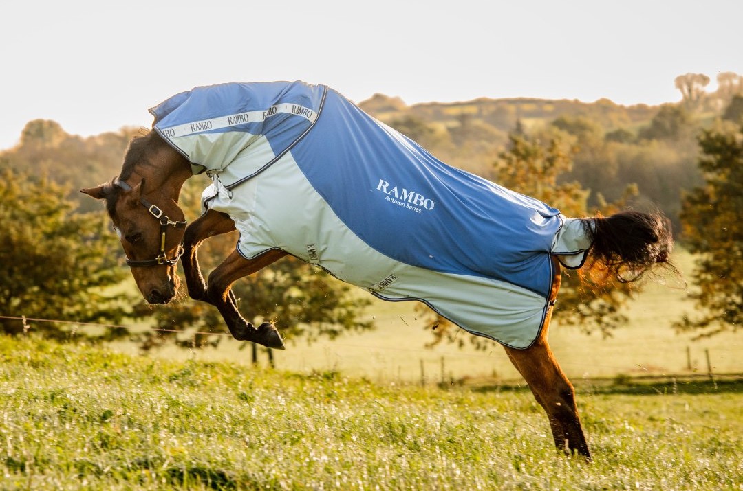 horseware ireland couverture rambo cheval