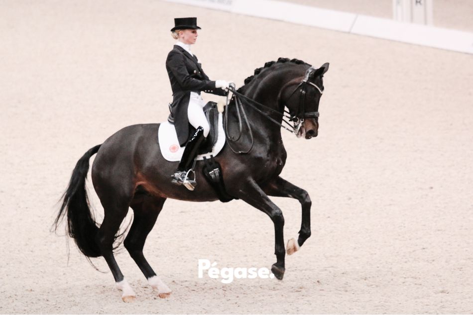 Jessica von Bredow-Werndl & Dalera, FEI dressage rider, photographe : Roxanne Legendre | Pégase Daily