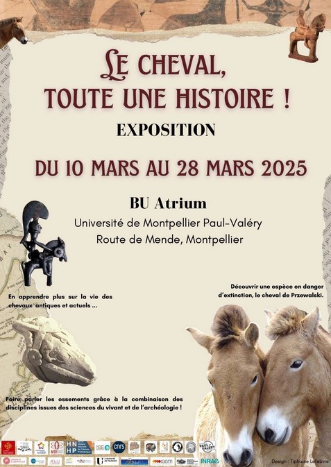 Exposition - Le Cheval Toute Une Histoire Montpellier | Pégase Daily