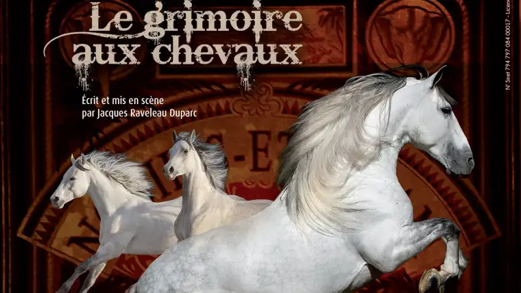 Spectacle équestre Le Grimoire aux Chevaux, événement cheval équitation | Pégase Daily
