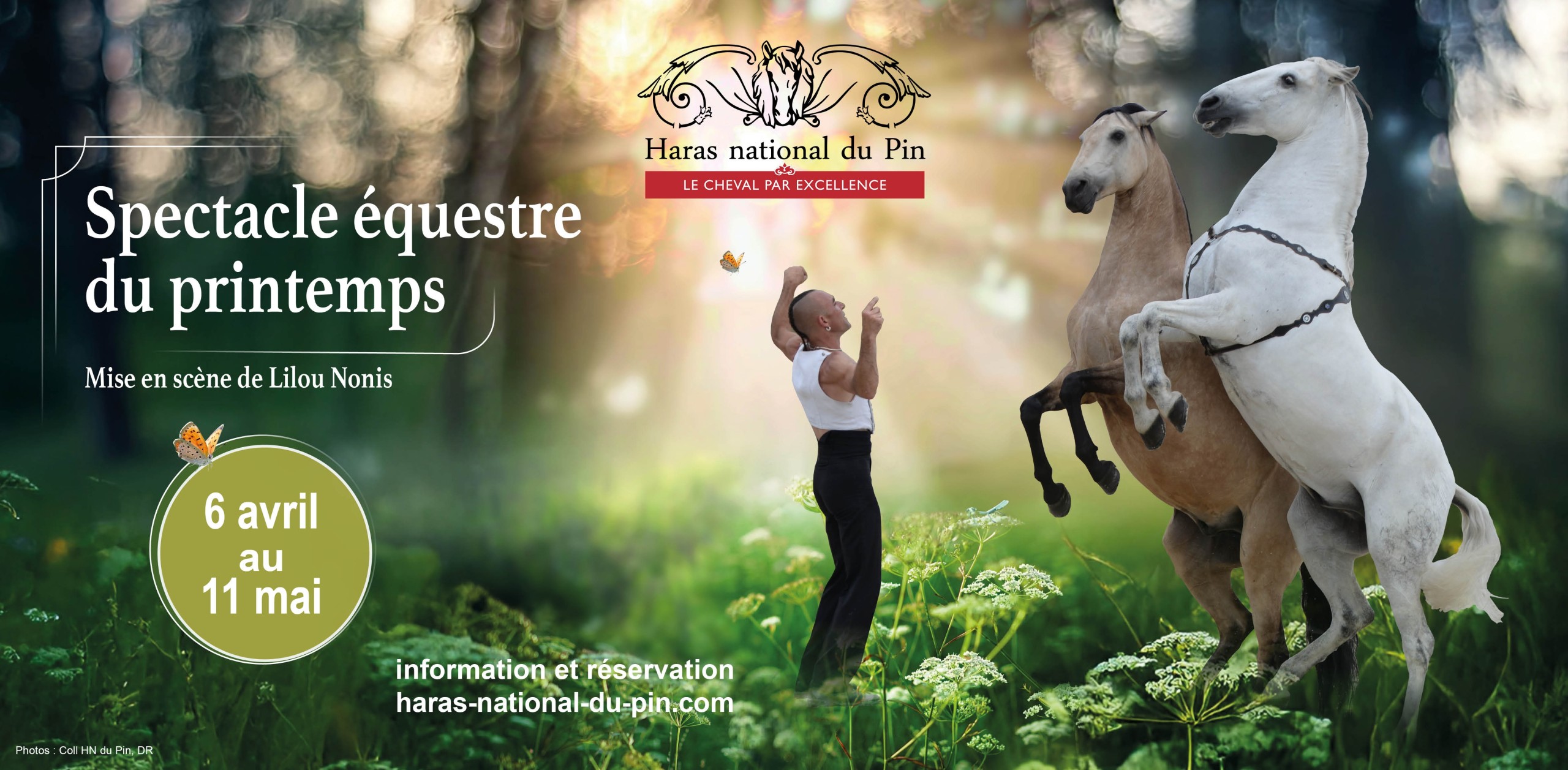 Spectacle équestre au Haras National du Pin 2025, événement cheval équitation | Pégase Daily