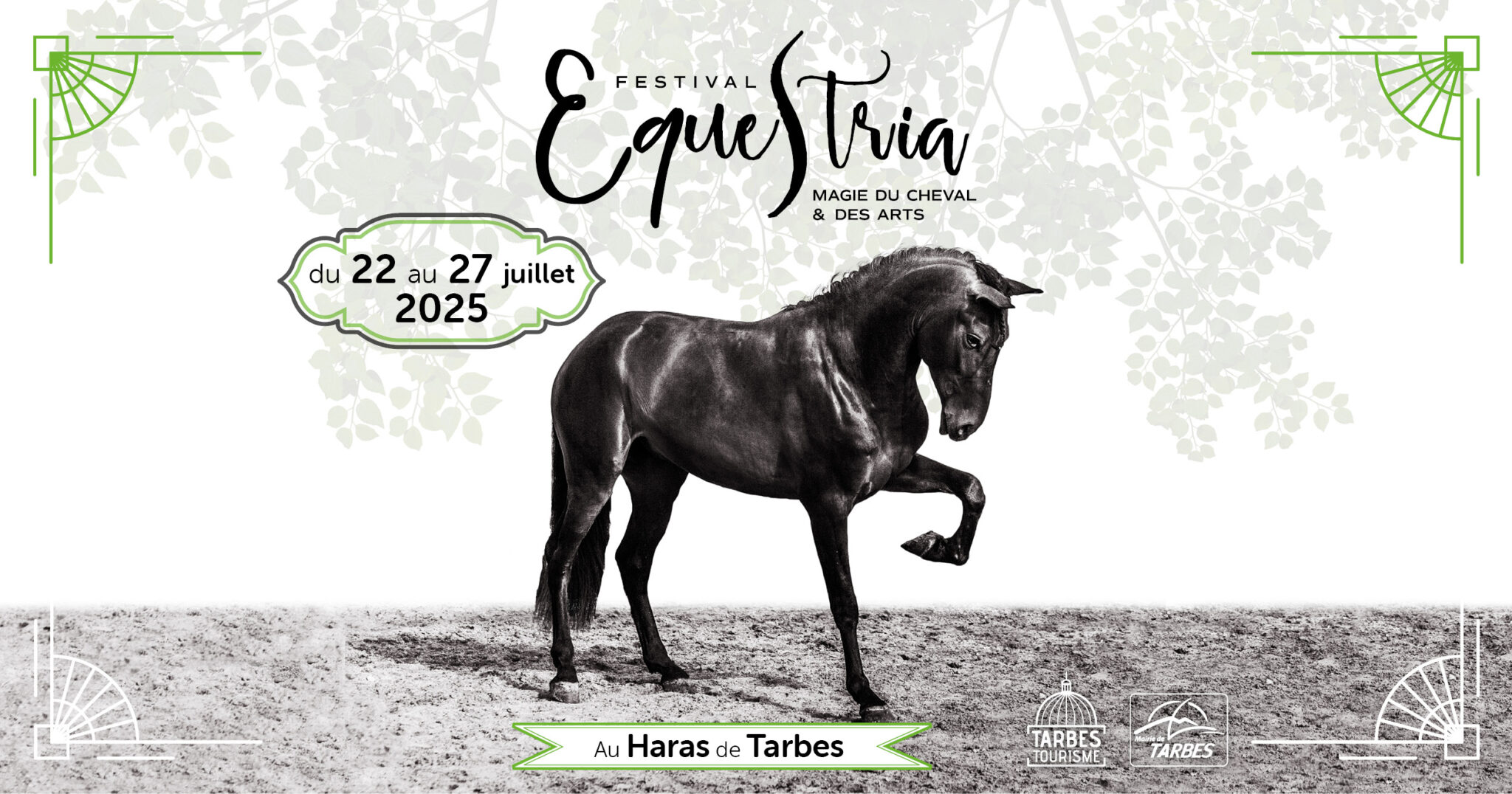 Spectacle équestre Festival Equestria au Haras de Tarbes | Pégase Daily