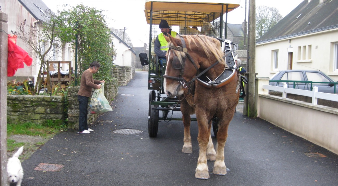 Cheval territorial ramassage déchets Questembert trait breton Résseau Faire à Cheval | Pégase Daily