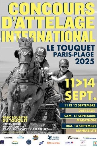 Concours International d'Attelage Le Touquet Paris Plage, événement équestre agenda cheval sortir au Touquet Paris Plage | Pégase Daily