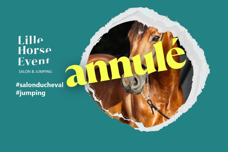 Pourquoi Lille Horse Event a été annulé, événement équestre cheval | Pégase Daily, 1er média équestre Business, Société, Art de Vivre - tribune Roxanne Legendre