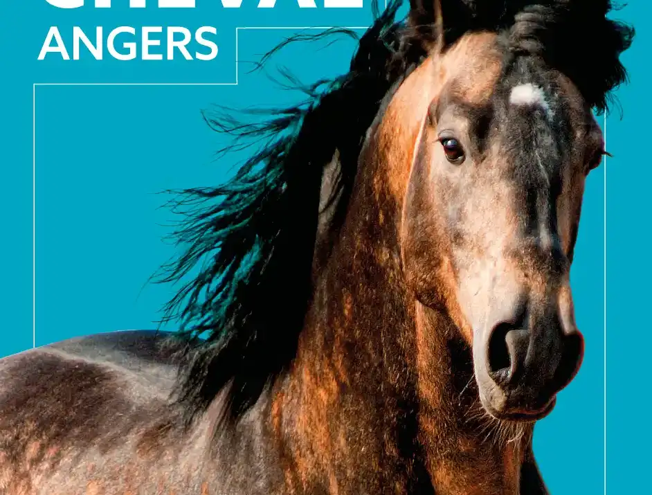 Salon du Cheval d'Angers 2025 événement équestre agenda cheval | Pégase.agenda : l’agenda incontournable des événements équestres en France et en Europe. Salons, concours, formations, ne ratez rien du monde du cheval.