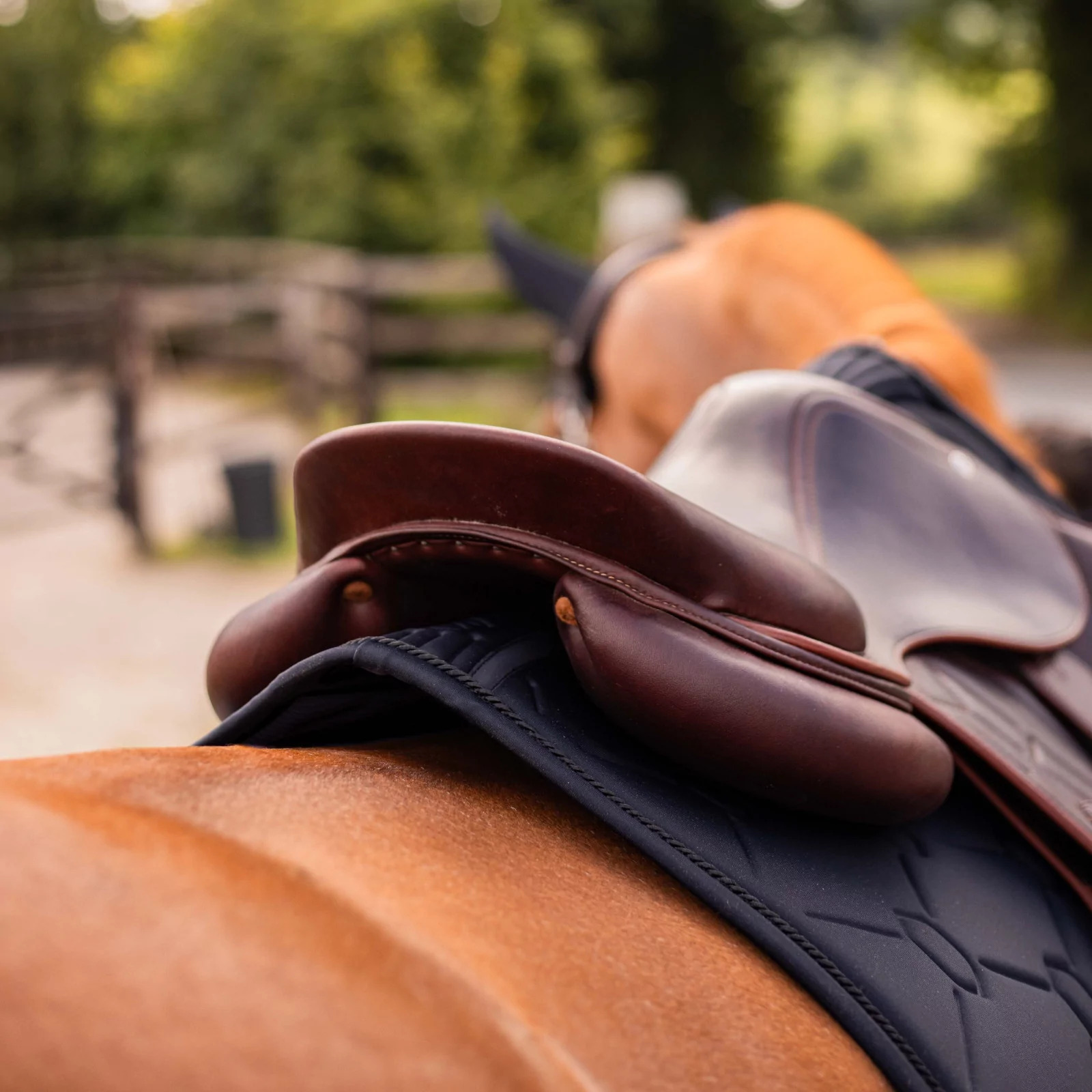 Tapis De Selle Dressage Back On Track Nights Collection - Noir, Taille Full
