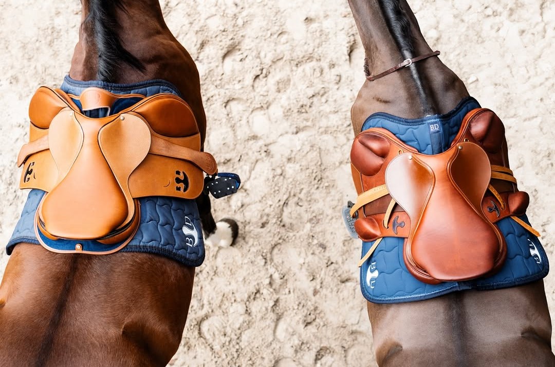 Bruno Delgrange sellier rejoint LIM Group, selle équitation, selle cso, selle dressage, selle cheval I Pégase Daily