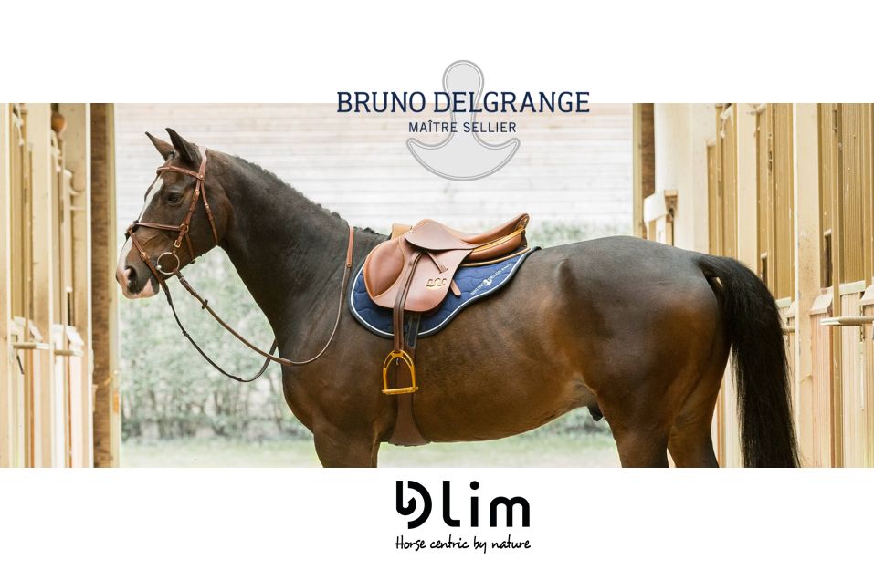 bruno delgrange rejoint le groupe lime I Pégase Daily, business