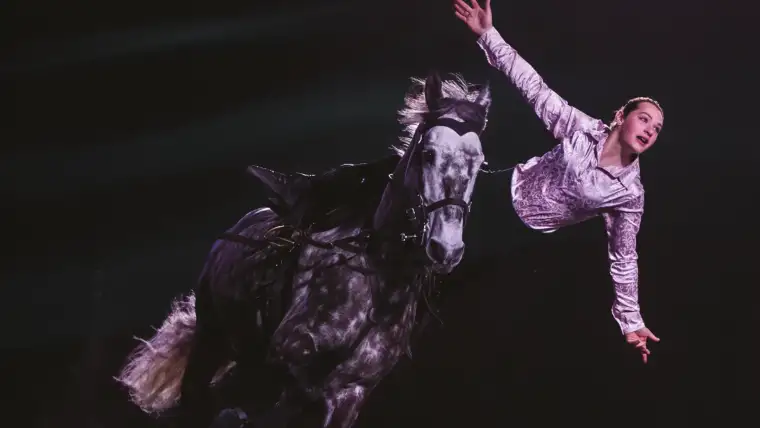 affiche adrenaline - Salon du cheval d’Albi, Spectacle, spectacle équestre I Pégase Daily