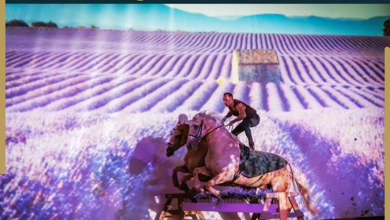 Cabaret équestre “Dromençal” I Pégase Daily