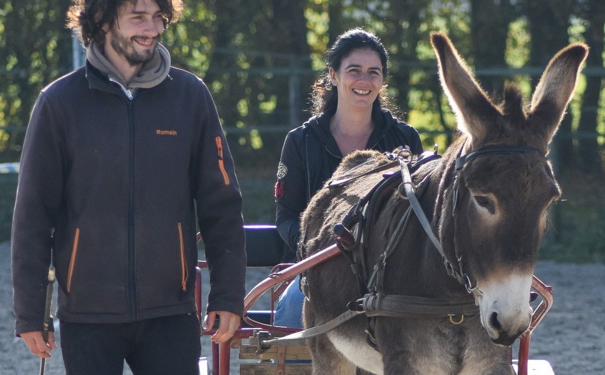 Le département du Calvados investit dans la médiation équine et asine | Pégase Daily