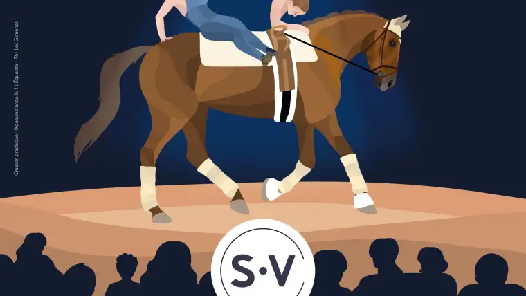 affiche saumur voltige I Pégase Daily, voltige, IFCE, rendez-vous