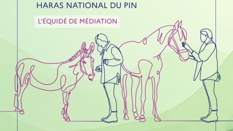 équi-meeting médiation équine I Pégase Daily, rendez vous