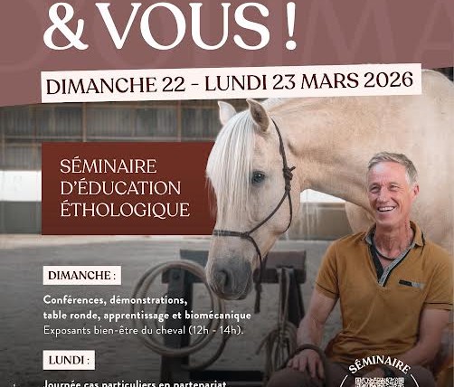 Cheval et vous I Pégase Daily, bien être, bien être équin