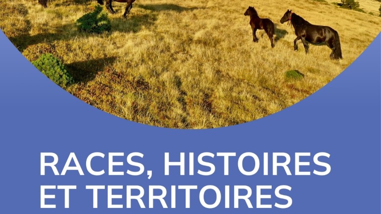 Colloque Cheval Haras du Pin I Pégase Daily