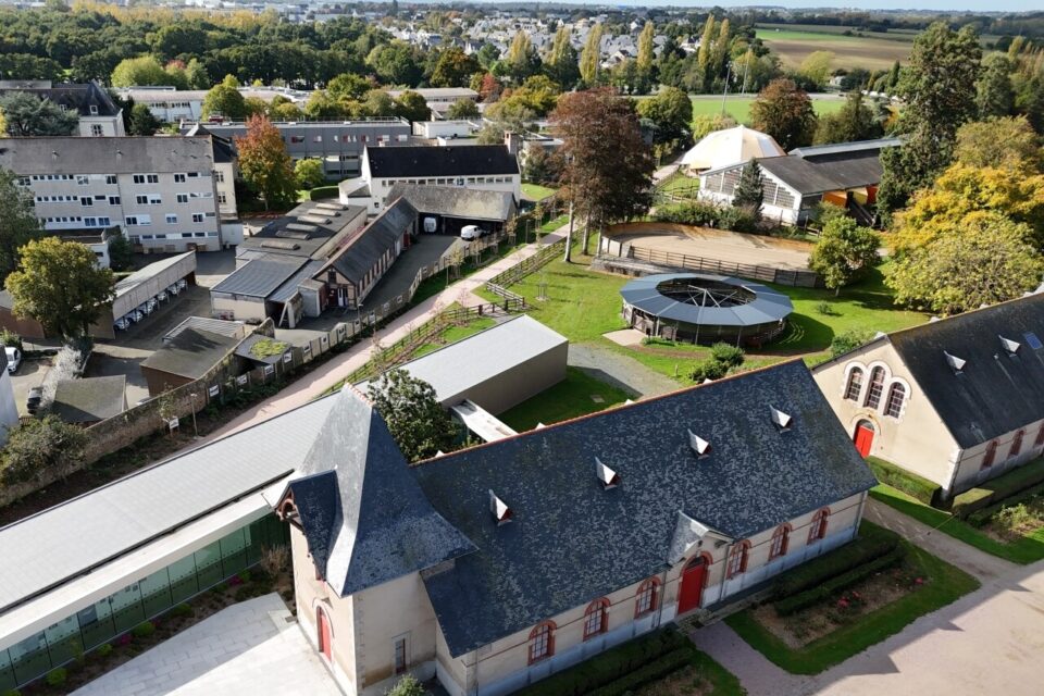 Haras de Lamballe I Pégase Daily, territoires, économie