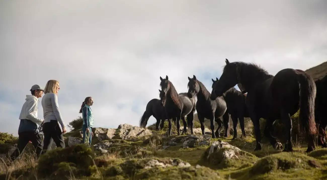 vêtement équitation cavalier, Horse Pilot equestrian wear, Horse Pilot certification B Corp, groupe Ekkia I Pégase Daily, marques, innovation