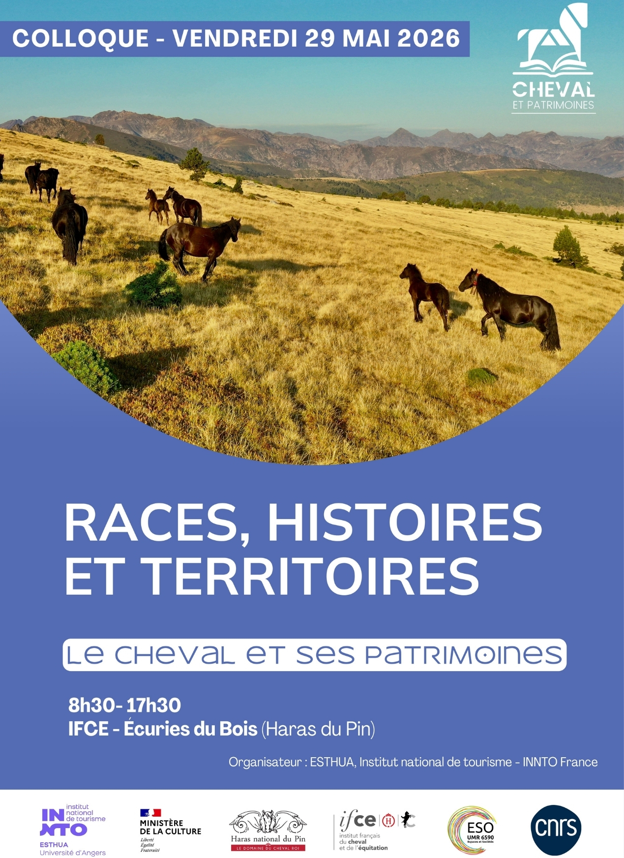 colloque cheval patrimoine haras du pin, événement équestre | Pégase Daily
